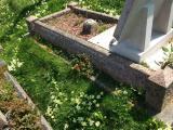 image of grave number 538516